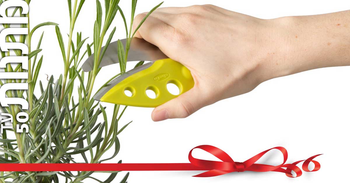 מתנות - עד 50 ש״ח