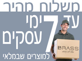 משלוח מהיר